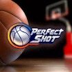 Perfect Shot